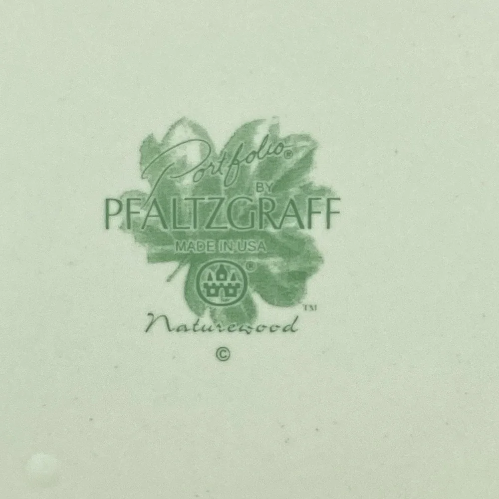 Portfolio Pfaltzgraff Naturewood Dinner Plates 11